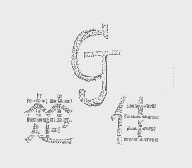 楚佳