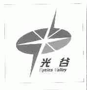光谷;OPTICS VALLEY