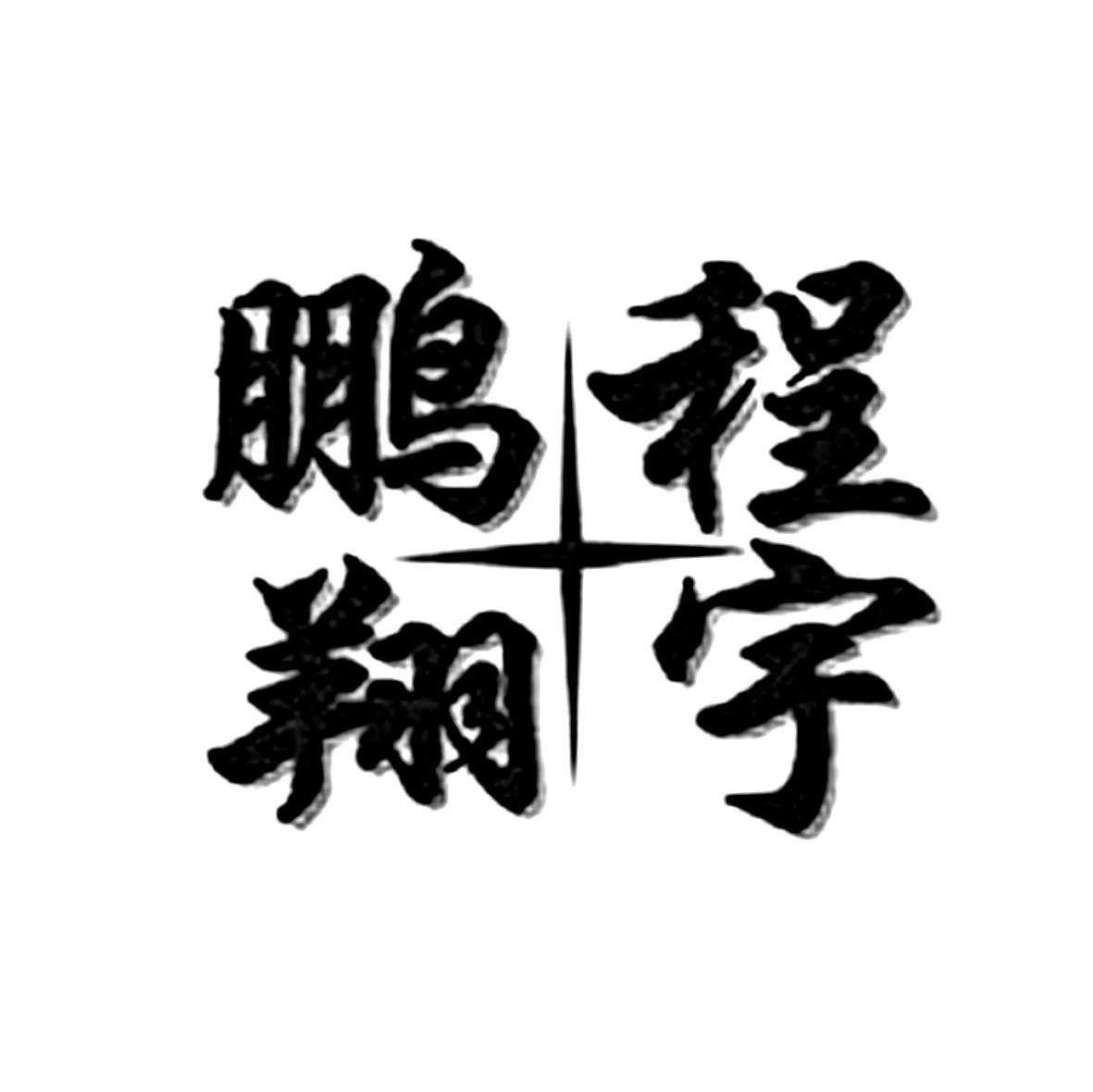 鹏翔程宇
