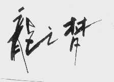 龙之梦