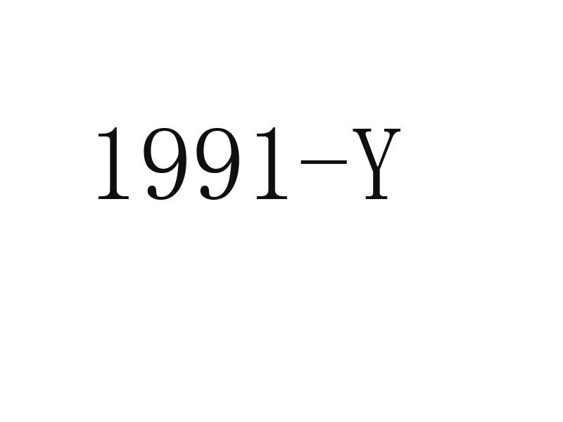 1991-Y