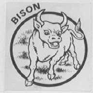 BISON    野牛