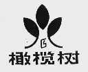 橄榄树