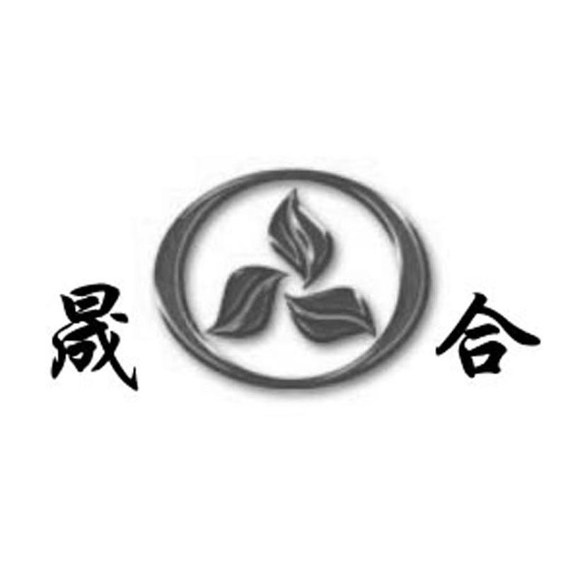 晟合