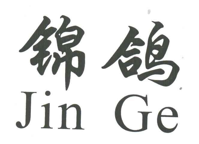 锦鸽