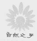自然之子