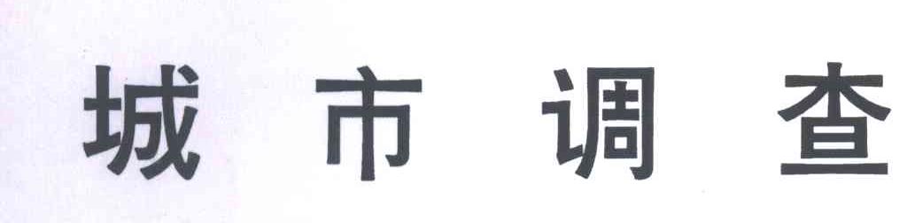 城市调查