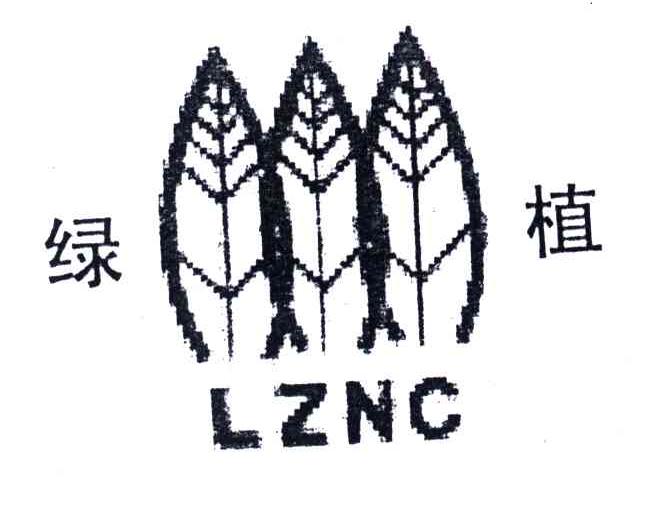 绿植