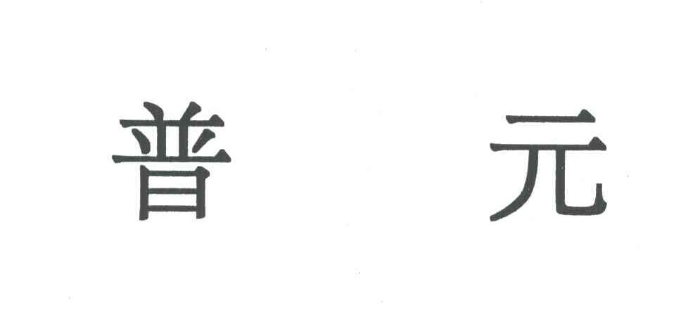 普元