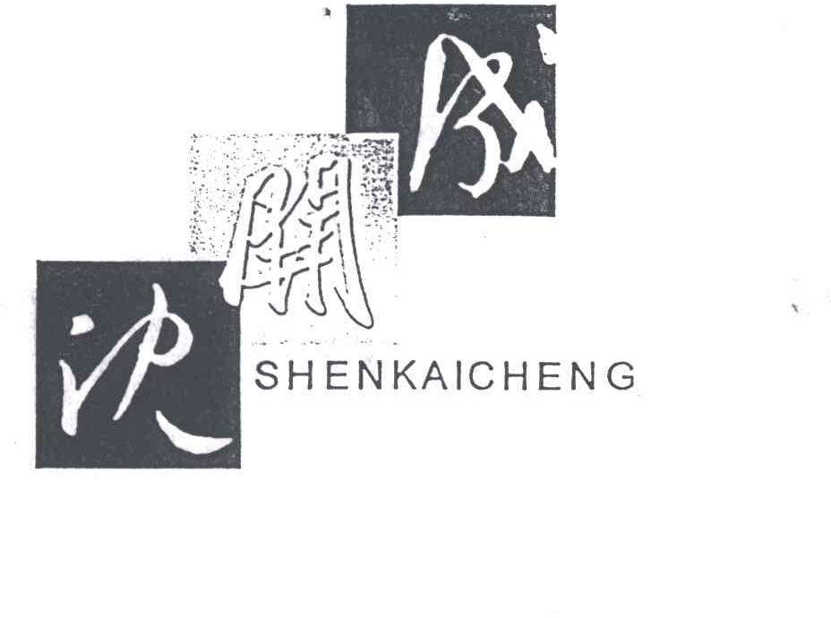 沈开成