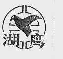 湖鹰