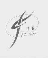 洋宝