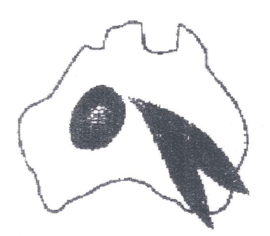 图形
