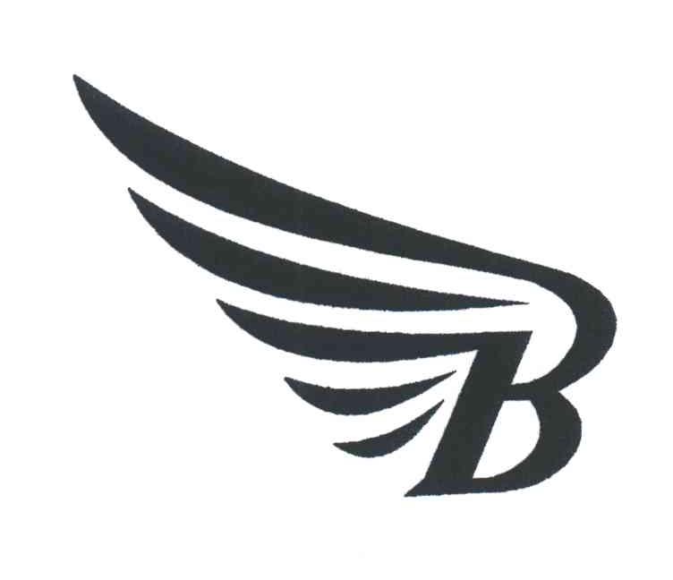 B图形