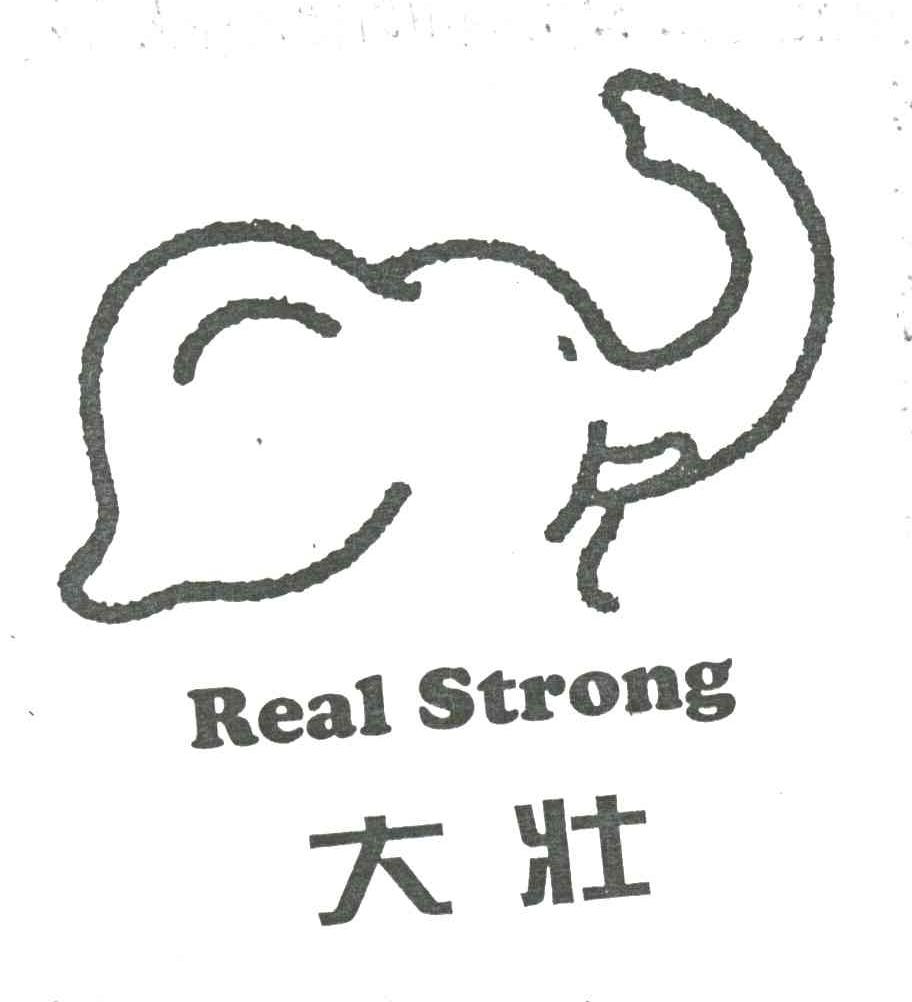 大壮;REAL STRONG及图形