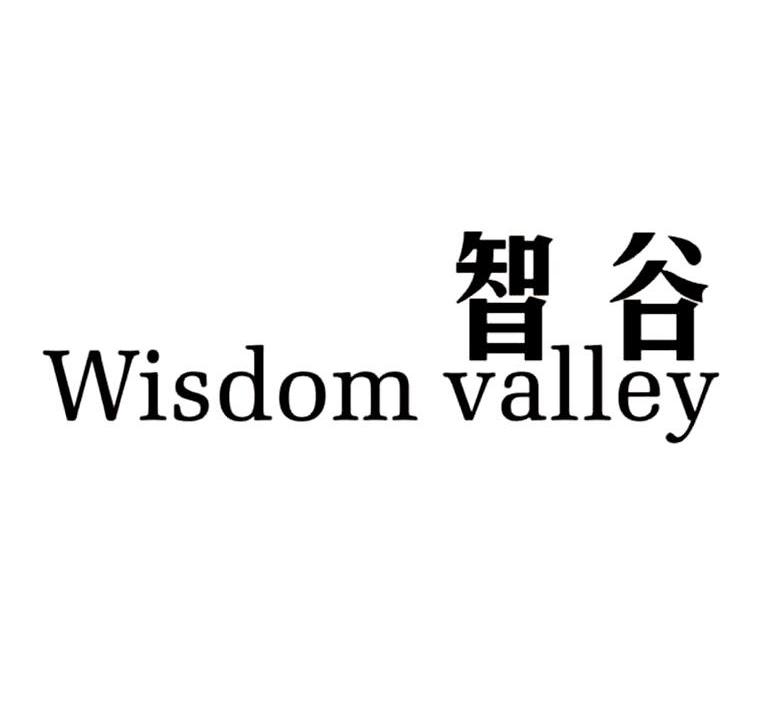 智谷 WISDOM VALLEY