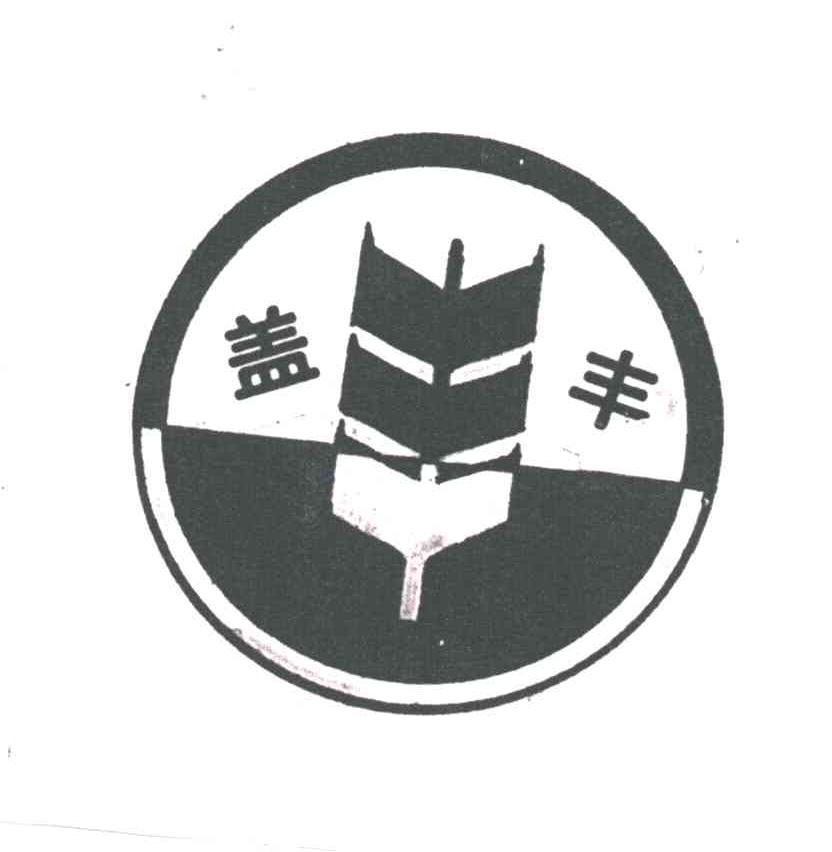 盖丰及图形