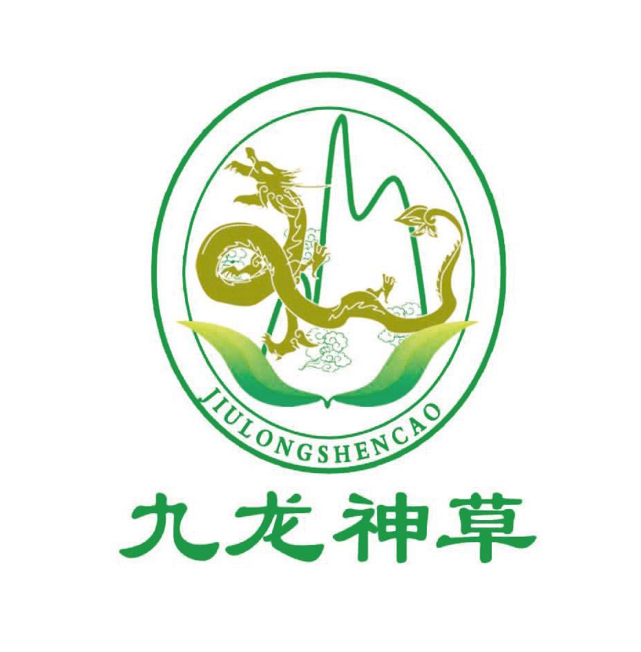 九龙神草