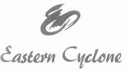 EASTERN CYCLONE