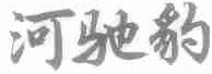 河驰豹