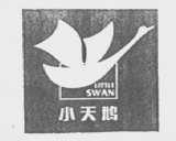 小天鹅    SWAN