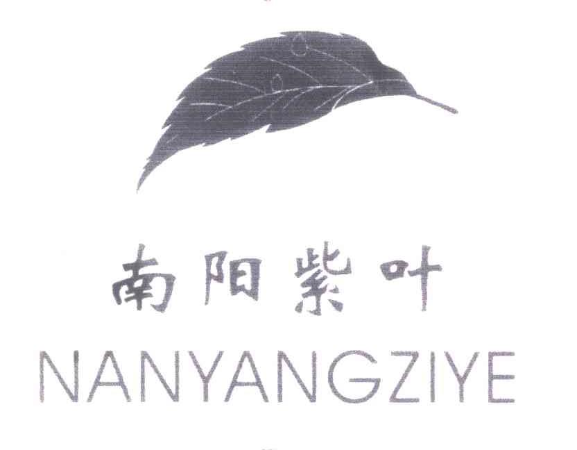 南阳紫叶