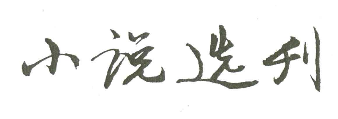 小说选刊