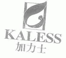 加力士;KALESS