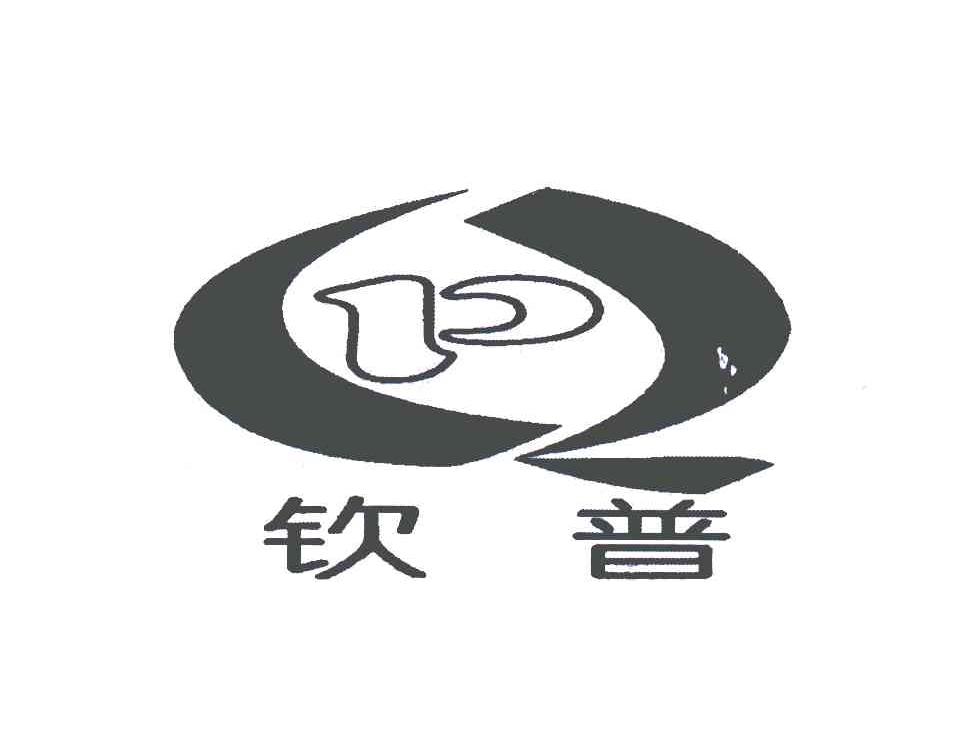 钦普;QP