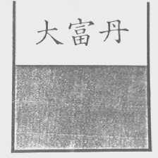 大富丹