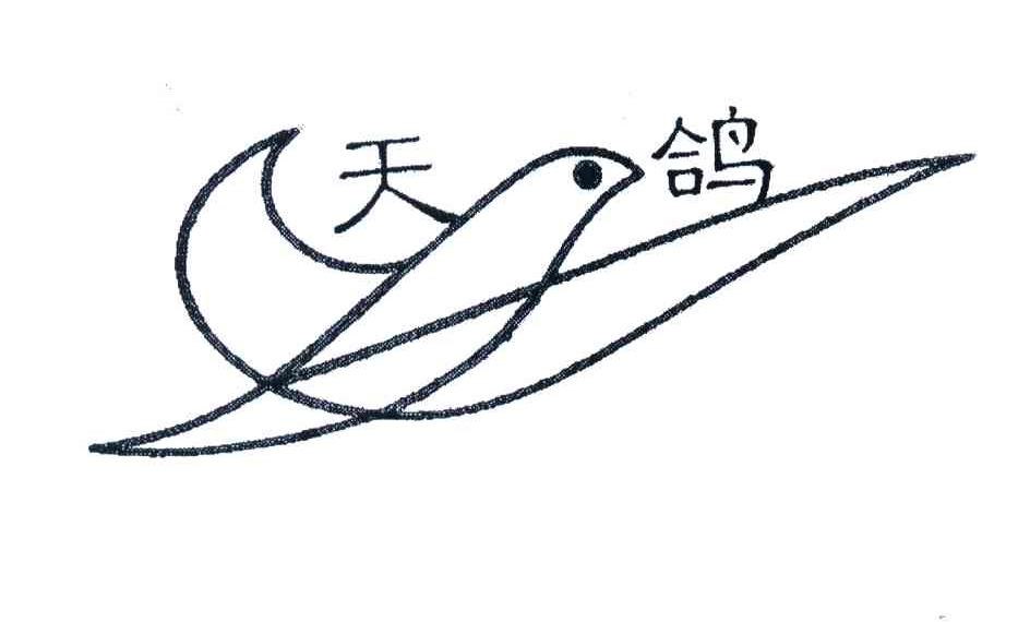 天鸽