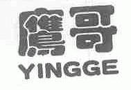 鹰哥