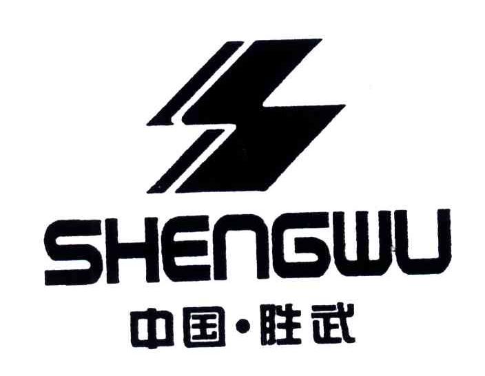 中国胜武
