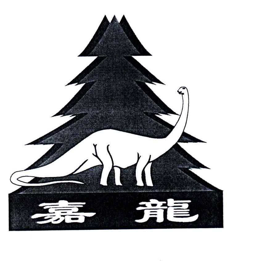 嘉龙