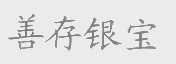 善存银宝