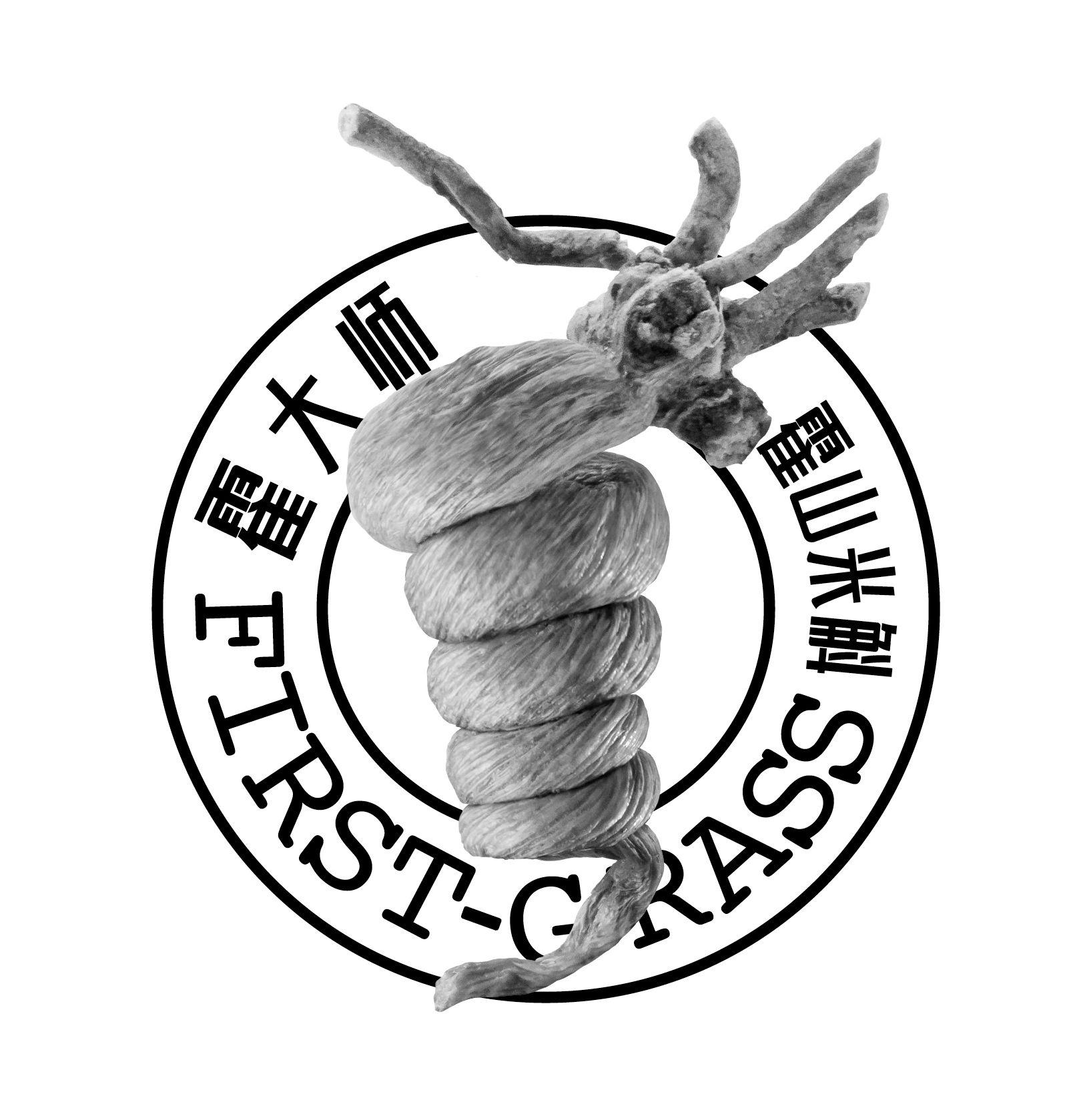 霍大师 霍山米斛 FIRST-GRASS