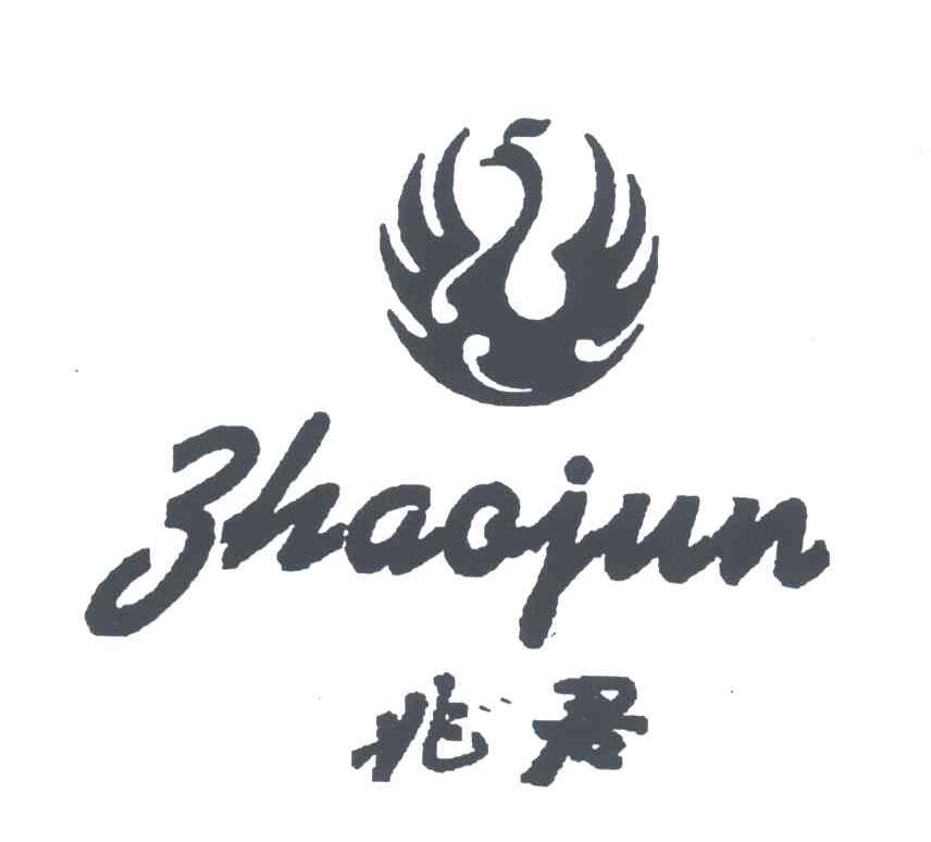 兆君