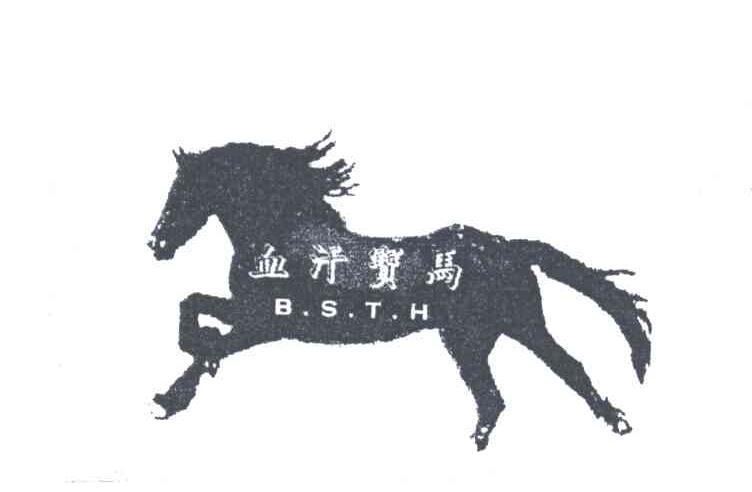 血汗宝马;BSTH