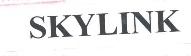 SKYLINK