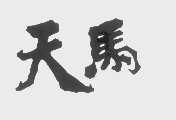 天马