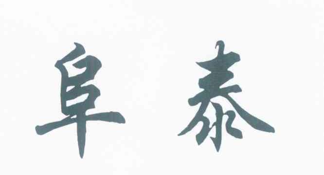 阜泰