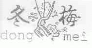 冬梅