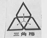 三角梅