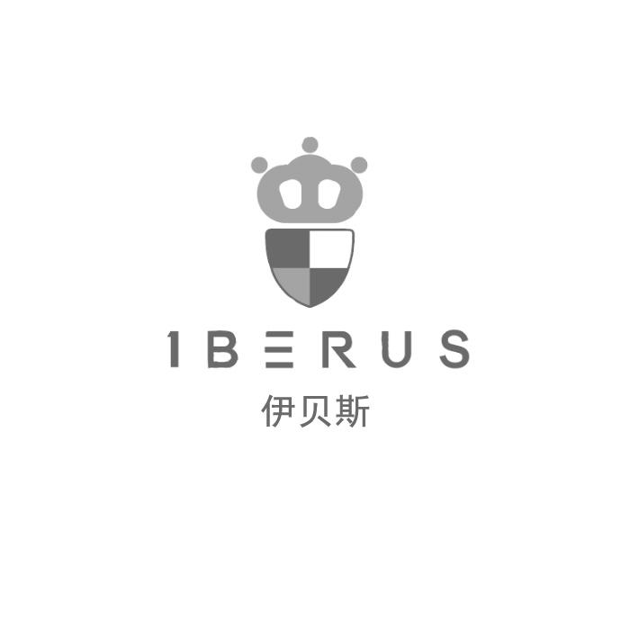 伊贝斯 1 BERUS