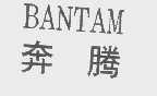 奔腾   BANTAN