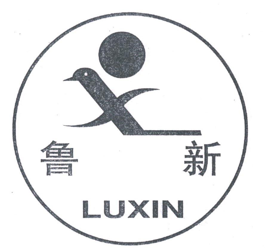 鲁新