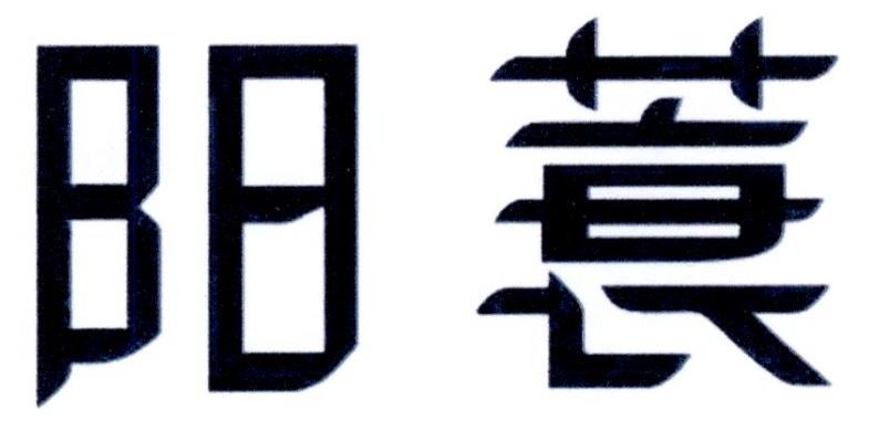 阳蓑