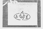 玉兰