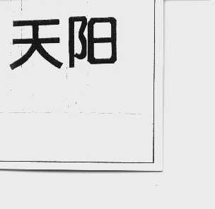 天阳