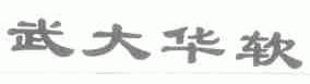 武大华软